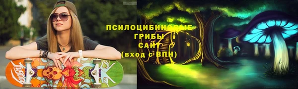 a pvp Богданович