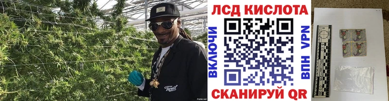 Наркотические марки 1,5мг  где найти   Балашиха 
