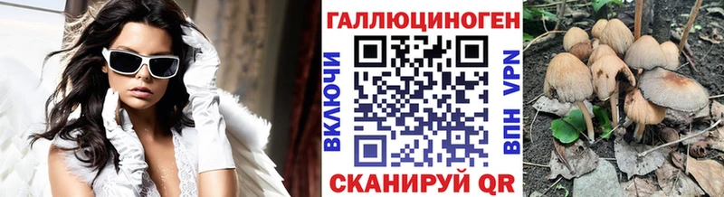 Псилоцибиновые грибы Magic Shrooms  Балашиха 